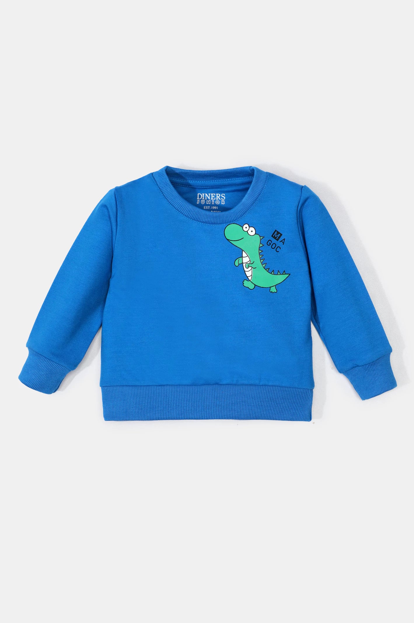 Blue Dino Printed Boys Sweatshirt